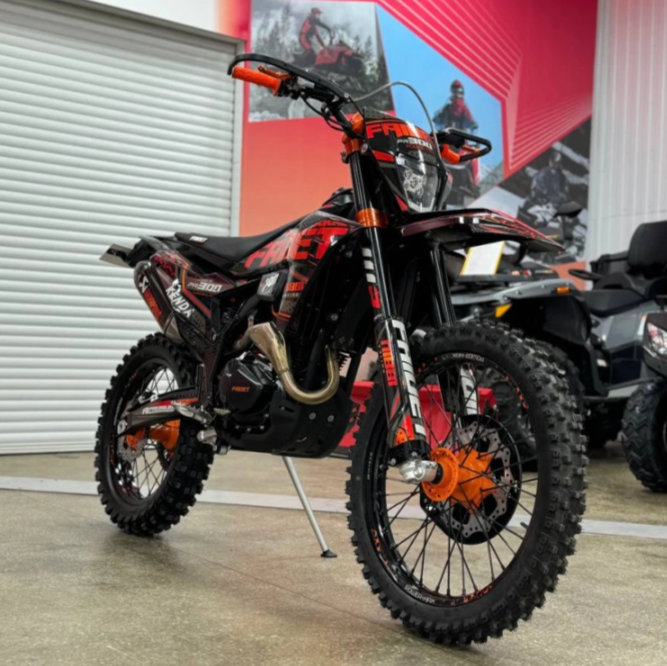 Кроссовый мотоцикл FAIDET PR300 MAX WP в Смоленске