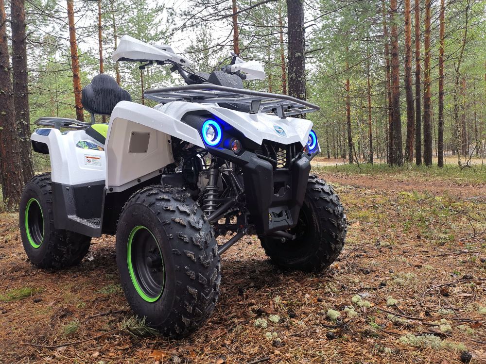 Квадроцикл PROMAX RENEGADE 280 (2025) в Смоленске