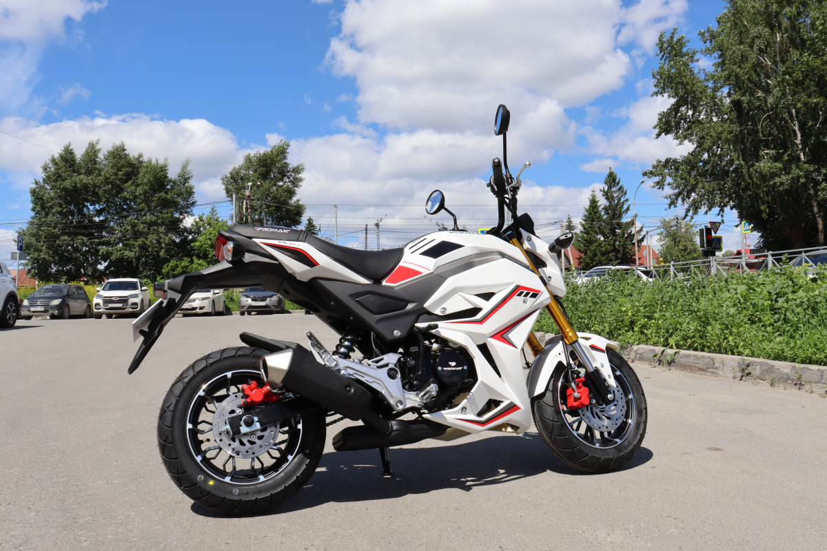 Мотоцикл PROMAX STRYKER 200(49) 2.0 в Смоленске