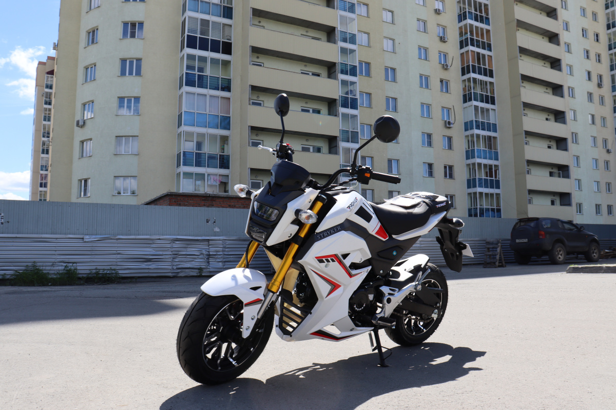 Мотоцикл PROMAX STRYKER 200(49) 2.0 в Смоленске
