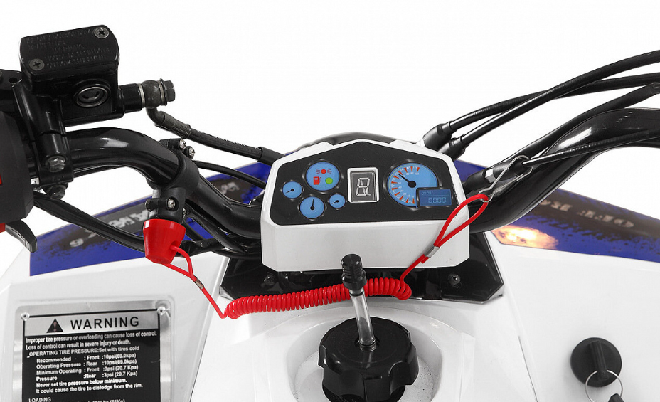 Квадроцикл Yacota Raposa 110 в Смоленске