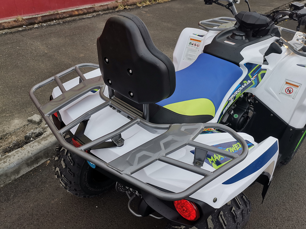 Квадроцикл PROMAX RENEGADE 280 LUX (2025) в Смоленске