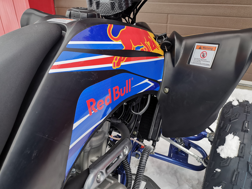 Квадроцикл PROMAX RAPTOR 300 NEW RedBull в Смоленске