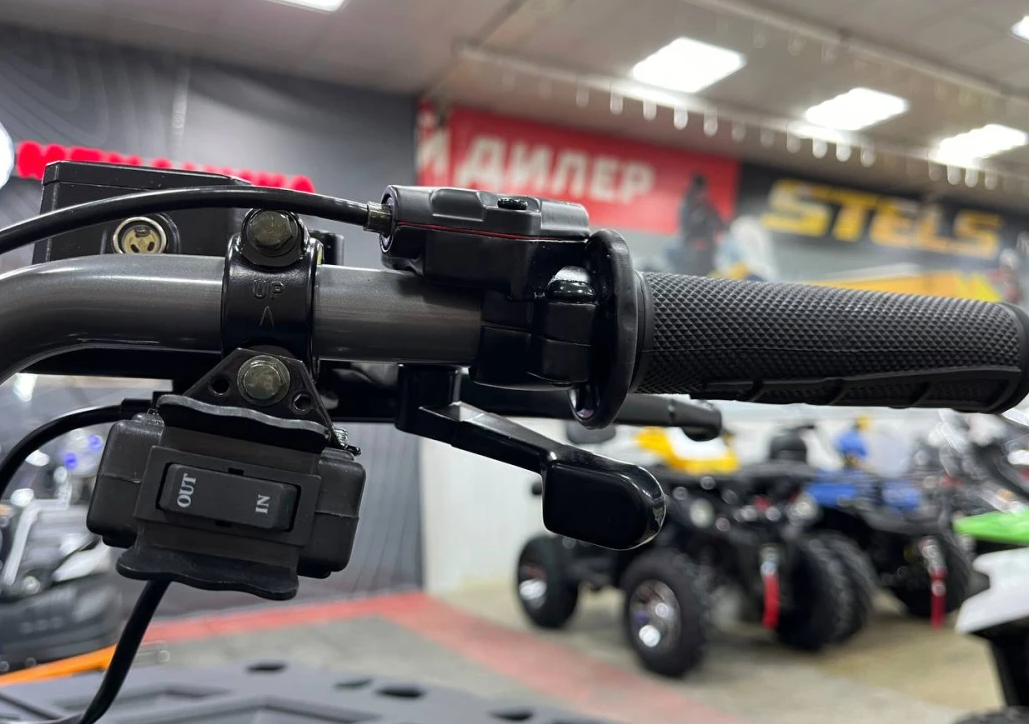 Квадроцикл PROMAX RENEGADE 300 LONG WINCH PRO (2025) в Смоленске