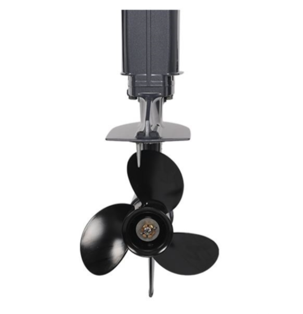 Лодочный мотор ALLFA CG Т40FW S в Смоленске