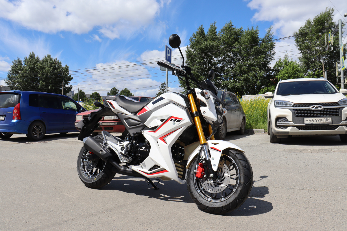 Мотоцикл PROMAX STRYKER 200(49) 2.0 в Смоленске