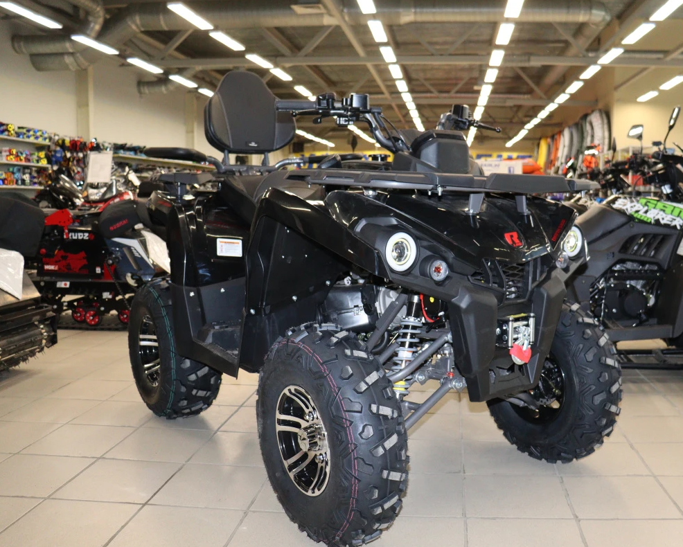 Квадроцикл PROMAX RENEGADE 300 LONG WINCH PRO (2025) в Смоленске