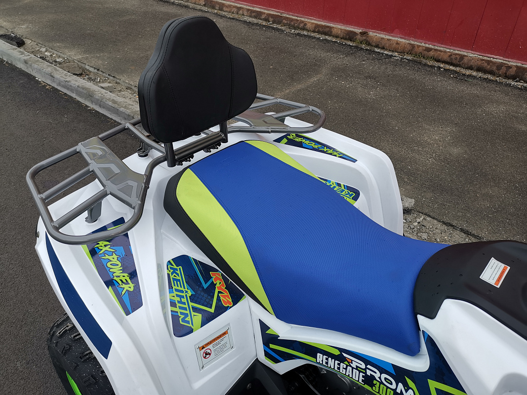 Квадроцикл PROMAX RENEGADE 280 LUX (2025) в Смоленске