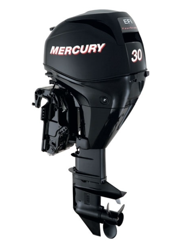 ЛОДОЧНЫЙ МОТОР MERCURY  F 30 ELH GA EFI в Смоленске