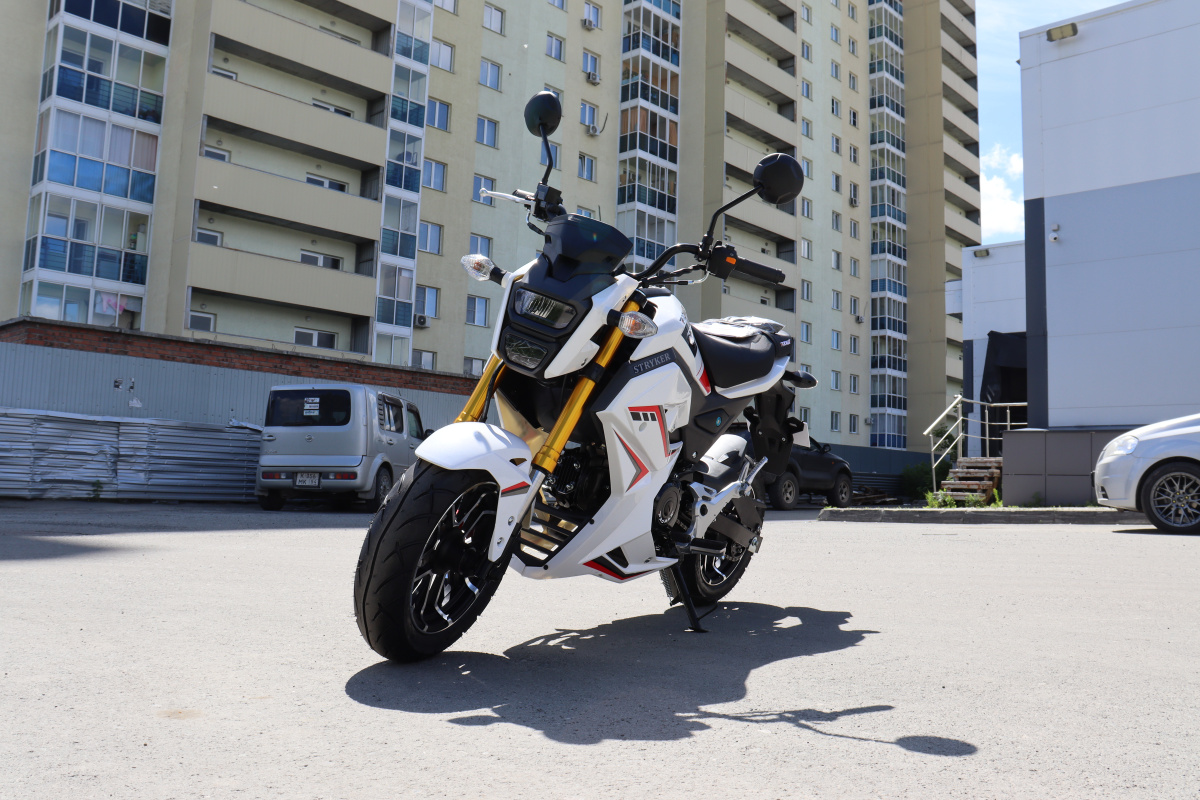 Мотоцикл PROMAX STRYKER 200(49) 2.0 в Смоленске