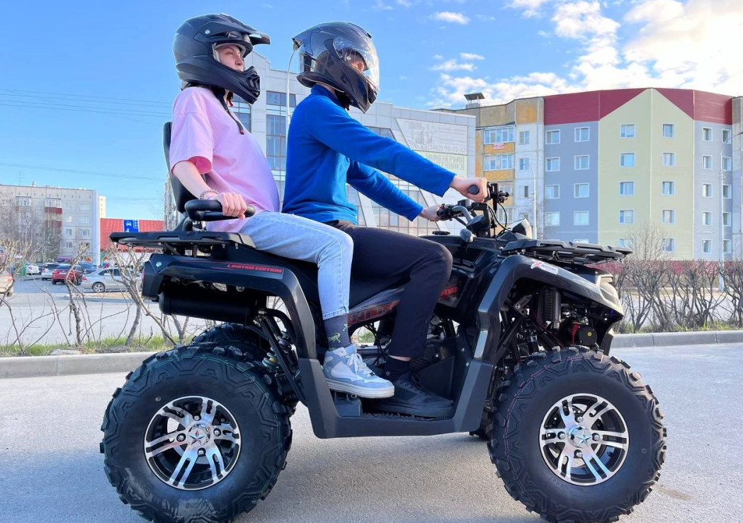 Квадроцикл PROMAX RENEGADE 300 LONG WINCH PRO (2025) в Смоленске