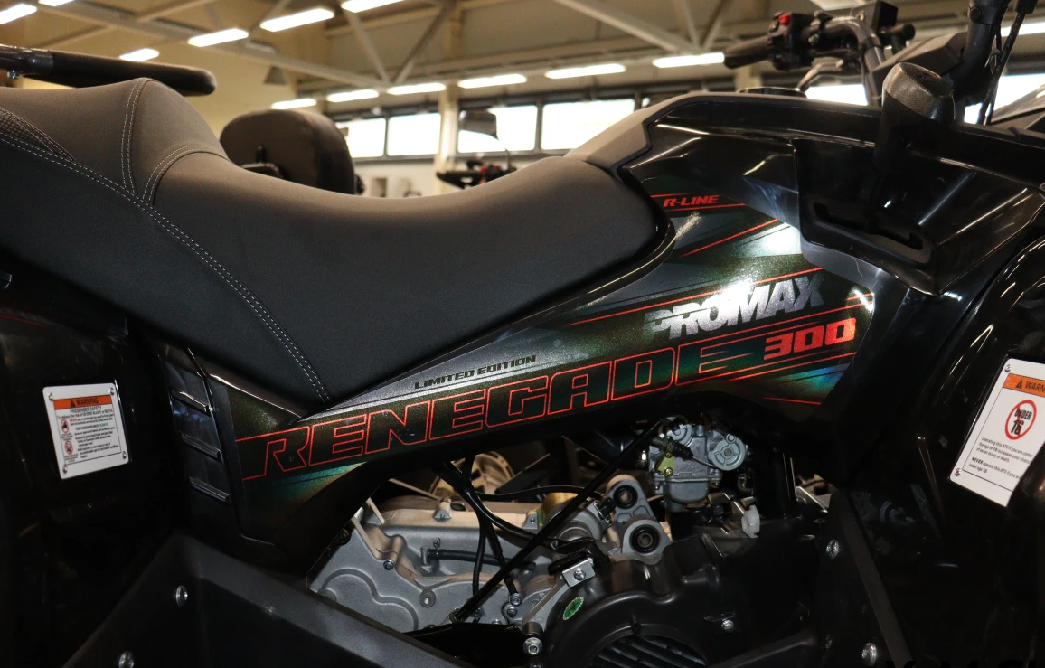 Квадроцикл PROMAX RENEGADE 300 LONG WINCH PRO (2025) в Смоленске