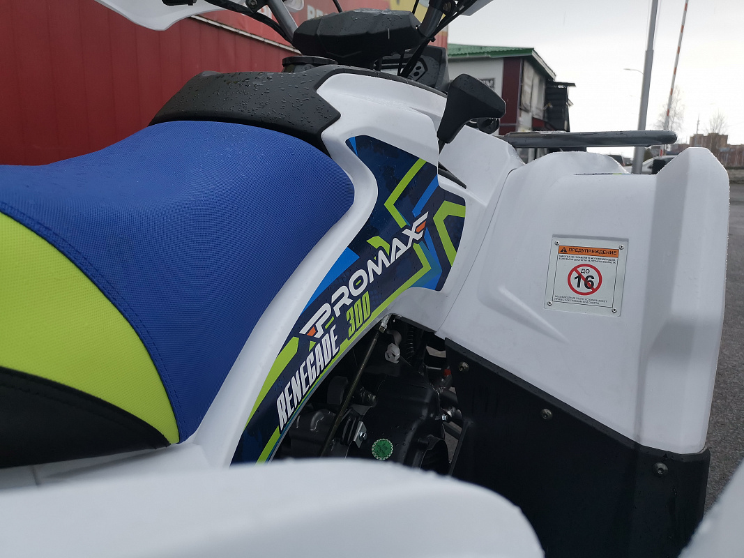 Квадроцикл PROMAX RENEGADE 280 LUX (2025) в Смоленске