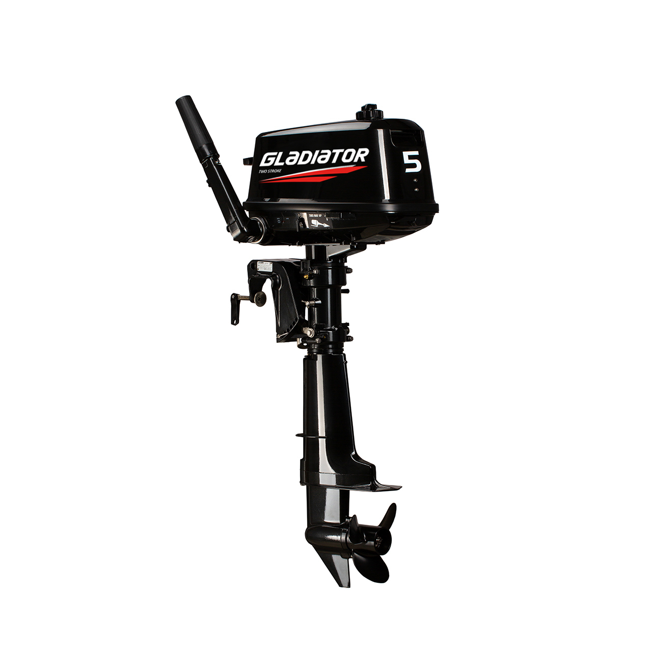 ЛОДОЧНЫЙ МОТОР GLADIATOR G5FHS в Смоленске