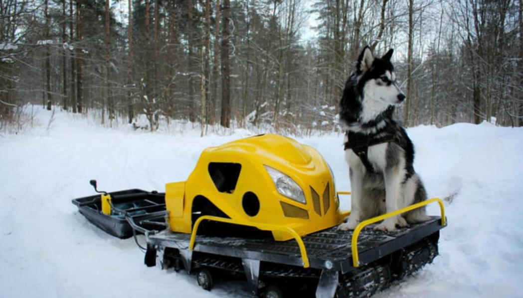 Мотобуксировщик LEBEDEV MOTORS ВОЛКОДАВ POWER V13 в Смоленске