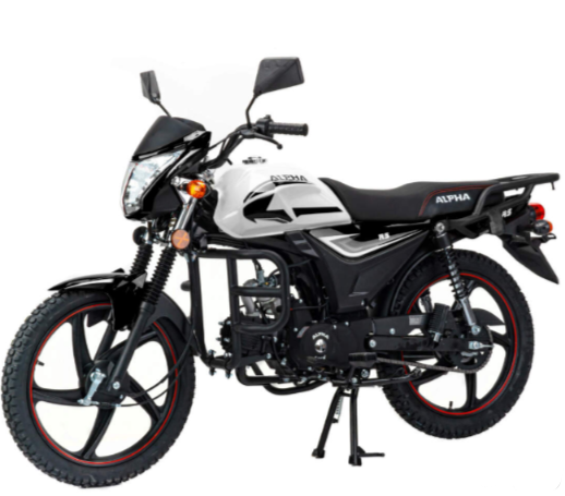 Мопед MOTOLAND (МОТОЛЕНД) Альфа RS 11 (LM48-B) в Смоленске