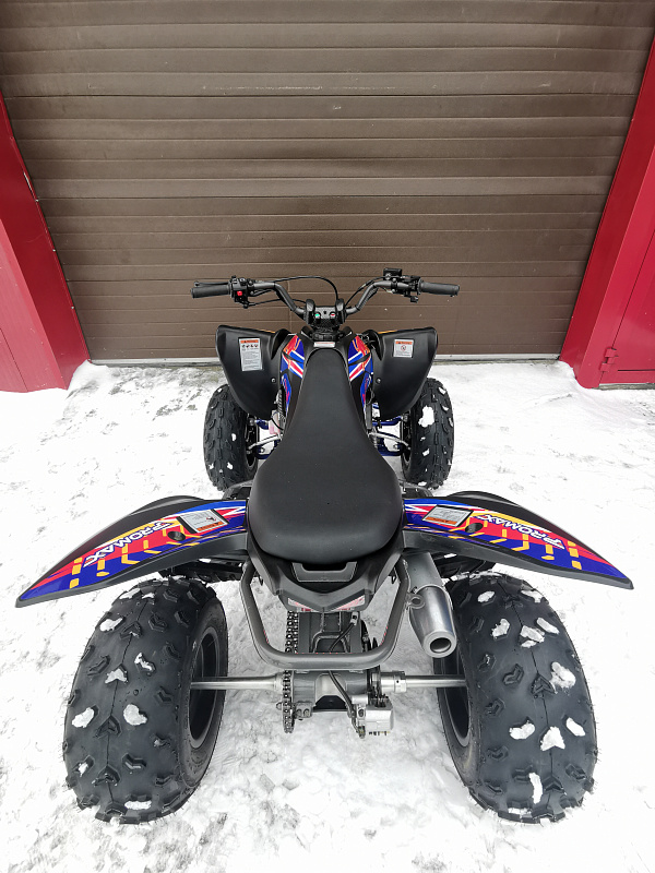 Квадроцикл PROMAX RAPTOR 300 NEW RedBull в Смоленске