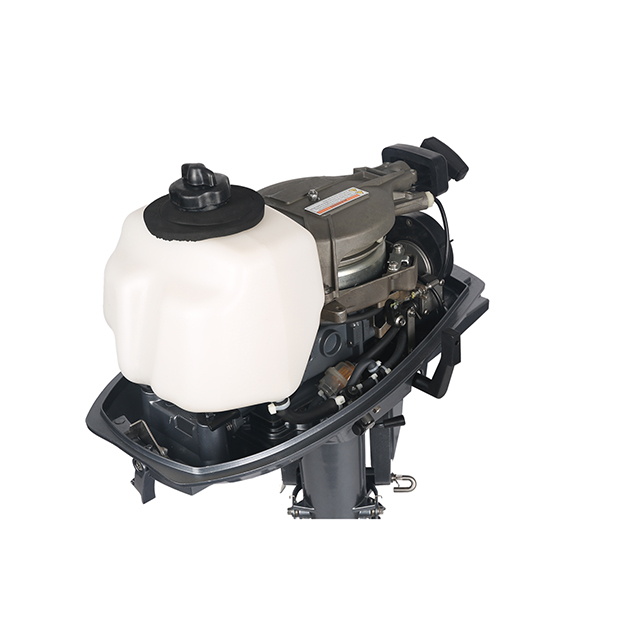 ЛОДОЧНЫЙ МОТОР ALLFA CG T5 в Смоленске