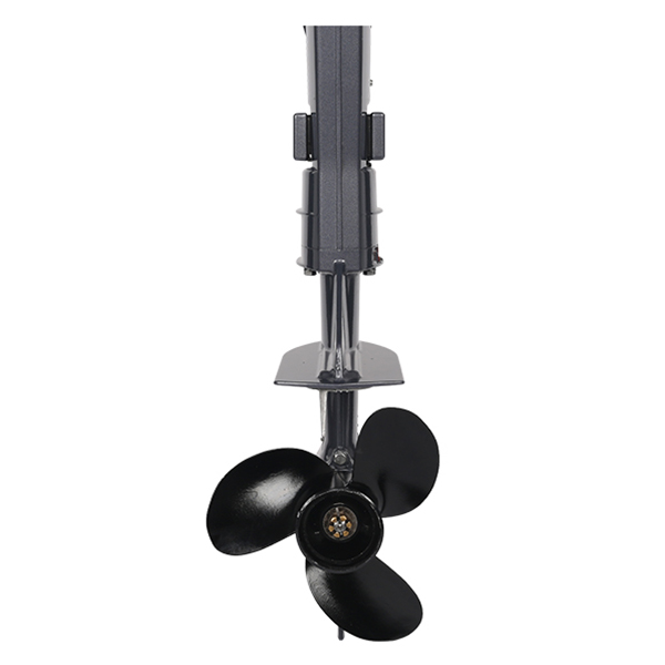 ЛОДОЧНЫЙ МОТОР ALLFA CG T5 в Смоленске