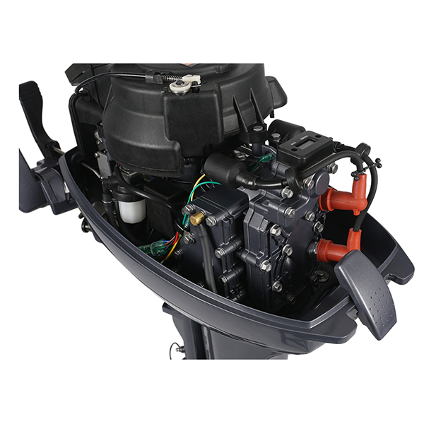 ЛОДОЧНЫЙ МОТОР ALLFA CG Т9,9 Limit в Смоленске