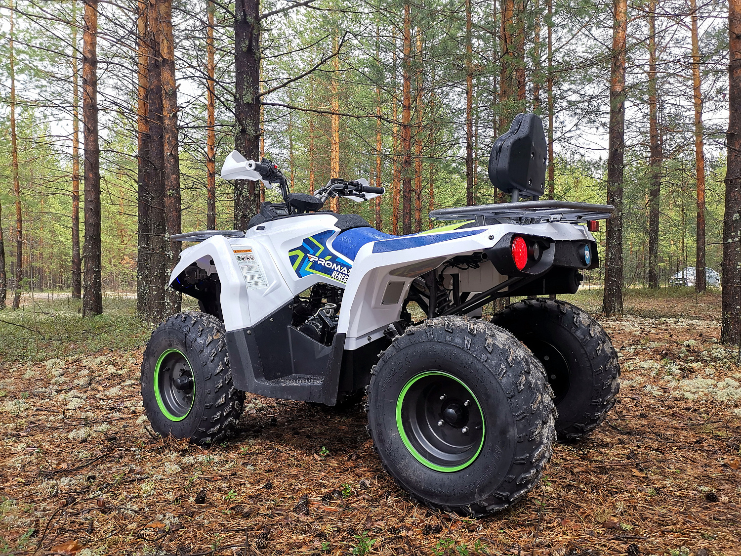 Квадроцикл PROMAX RENEGADE 280 (2025) в Смоленске