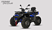 Квадроцикл PROMAX TAURUS 300 MAX-PRO LONG в Смоленске