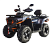 Квадроцикл MOTOLAND (МОТОЛЕНД) 300 MAX X в Смоленске