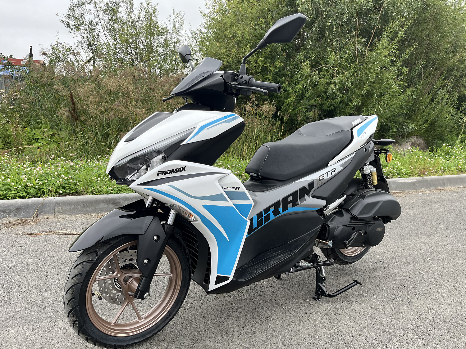 Скутер PROMAX TURAN 250 (49) в Смоленске