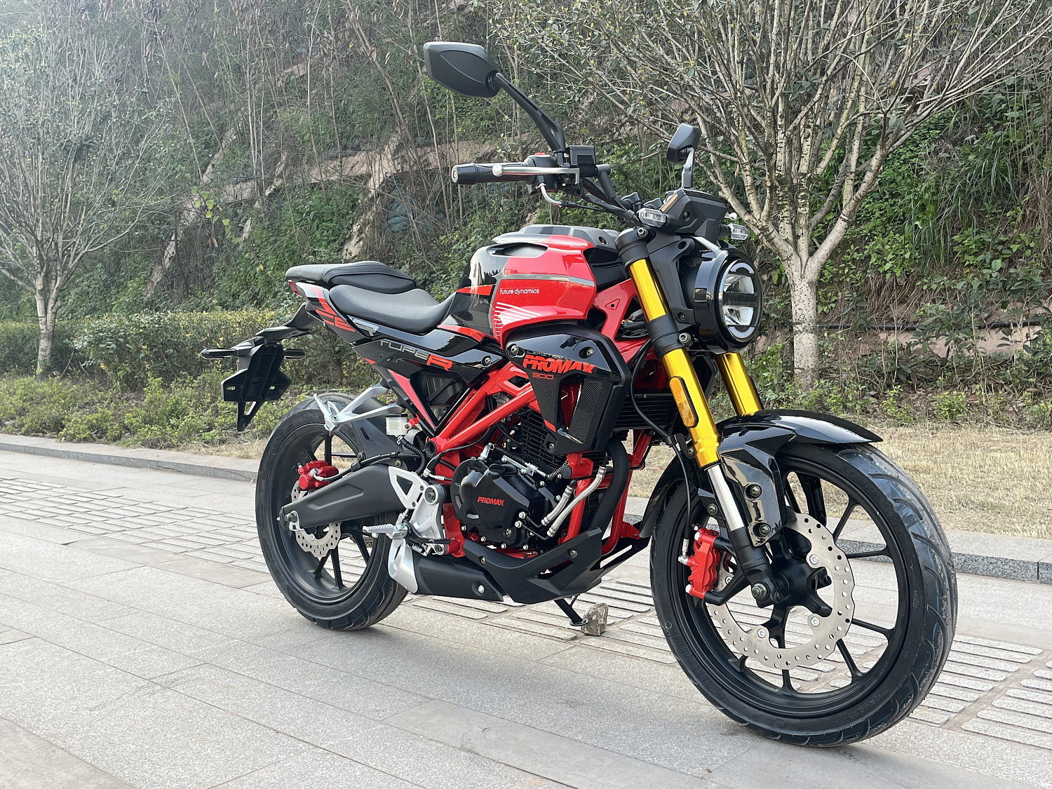 Мотоцикл PROMAX CB300 в Смоленске