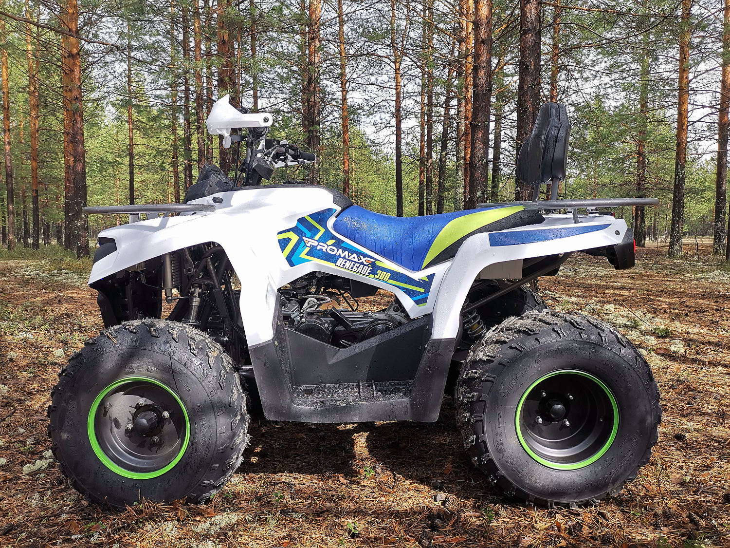 Квадроцикл PROMAX RENEGADE 280 (2025) в Смоленске