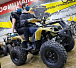 Квадроцикл PROMAX ATV 250 (2025) в Смоленске
