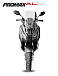 МаксиСкутер PROMAX-HONDA ADV 150 (49) (Inspired by HONDA) в Смоленске