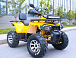 Квадроцикл MOTOLAND (МОТОЛЕНД) VOX200 WILD TRACK X PRO (баланс. вал) в Смоленске