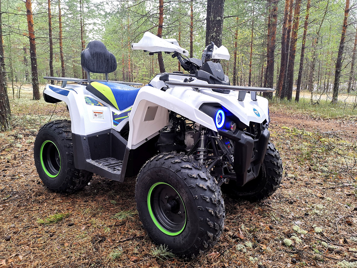 Квадроцикл PROMAX RENEGADE 280 (2025) в Смоленске