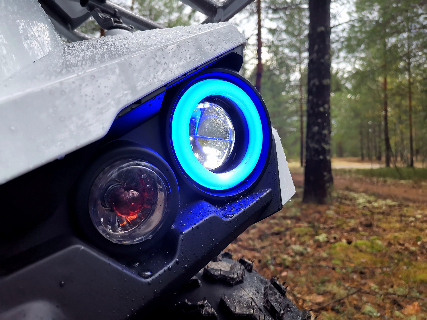 Квадроцикл PROMAX RENEGADE 280 (2025) в Смоленске