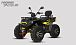 Квадроцикл PROMAX TAURUS 300 MAX-PRO LONG в Смоленске